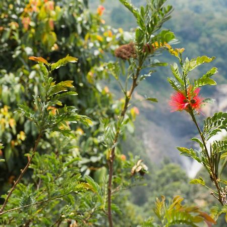 Aranyaka Resorts Munnar Buitenkant foto