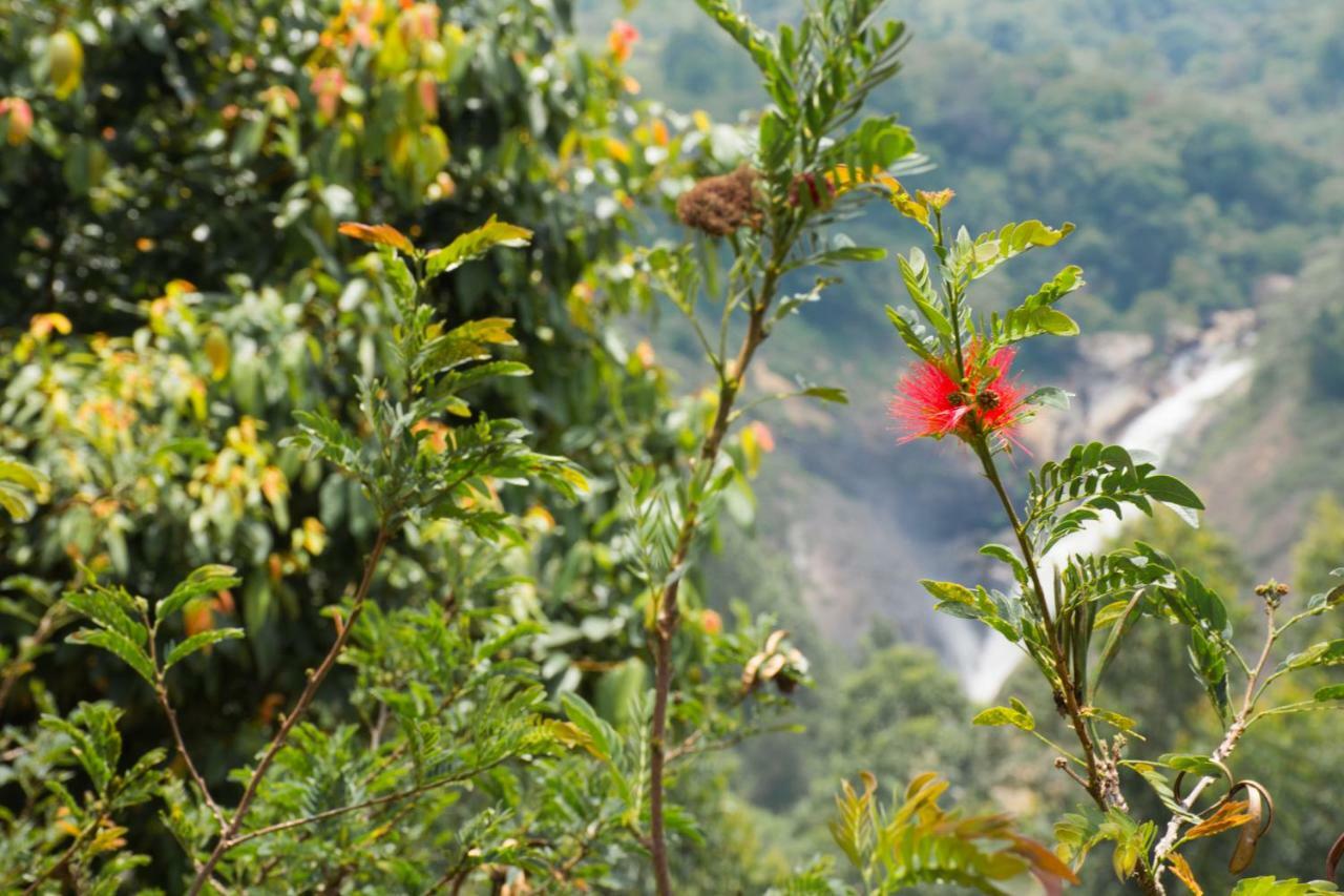 Aranyaka Resorts Munnar Buitenkant foto