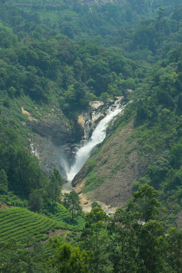 Aranyaka Resorts Munnar Buitenkant foto